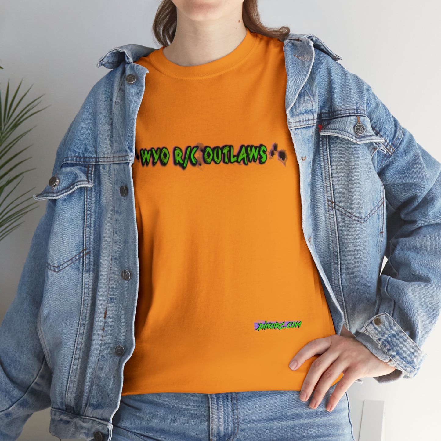 RC Outlaws DinoRc 8 colors Unisex Heavy Cotton Tee
