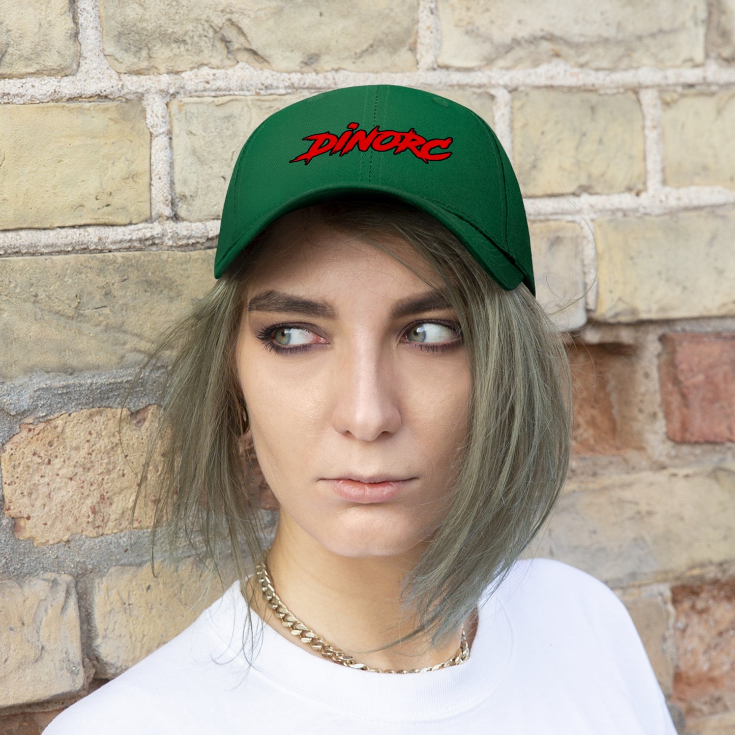 DinoRC Logo Hat