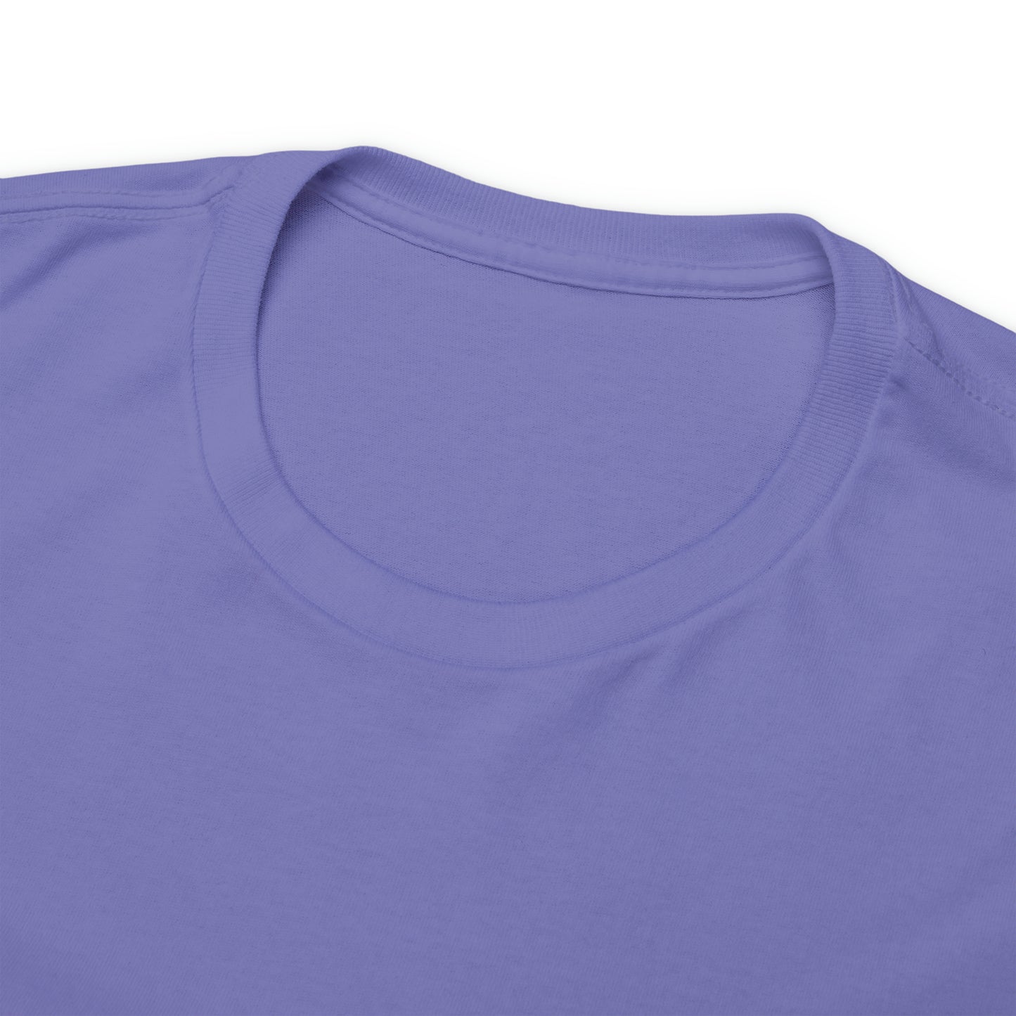 RC Outlaws DinoRc 8 colors Unisex Heavy Cotton Tee