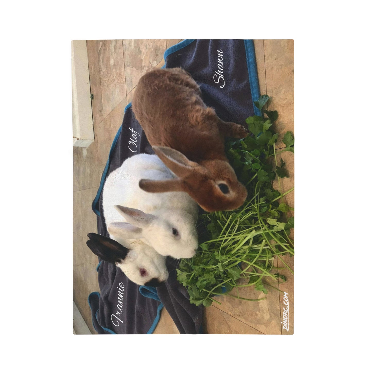 Rabbit Blanket Velveteen Plush Blanket