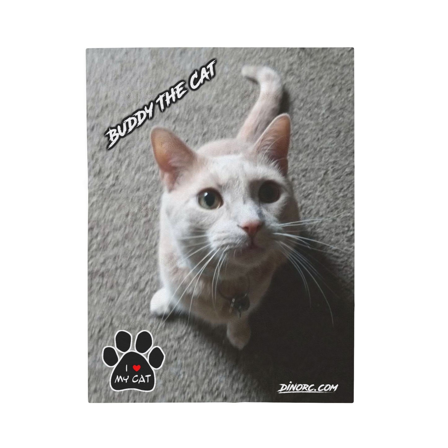 Buddy The Cat Velveteen Plush Blanket