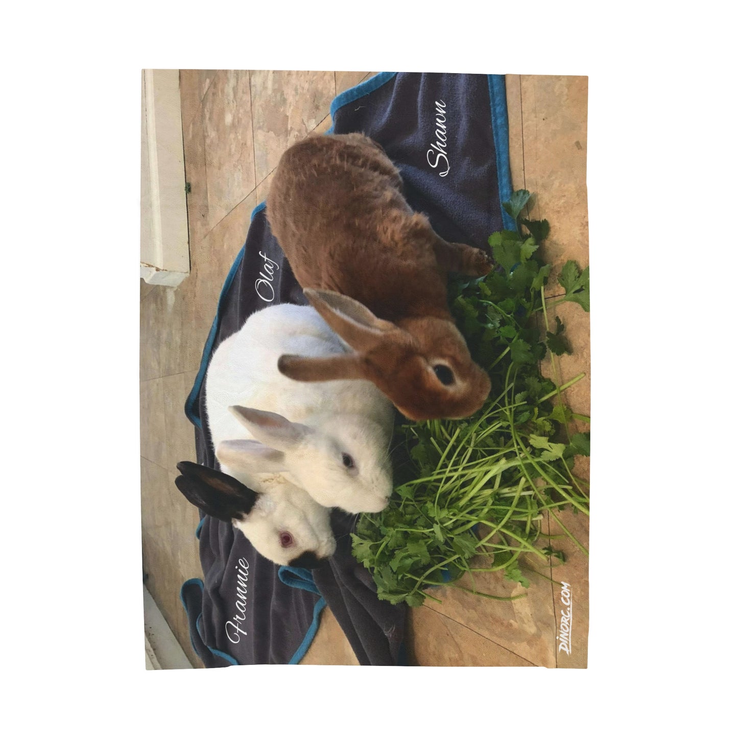 Rabbit Blanket Velveteen Plush Blanket
