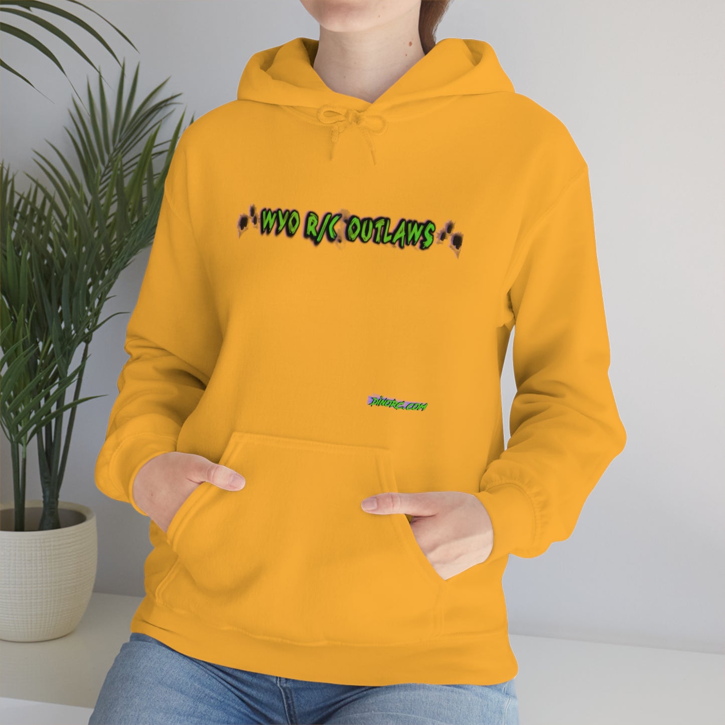 RC Outlaws DinoRC in 4 colors front back Hooded Sweatshirt