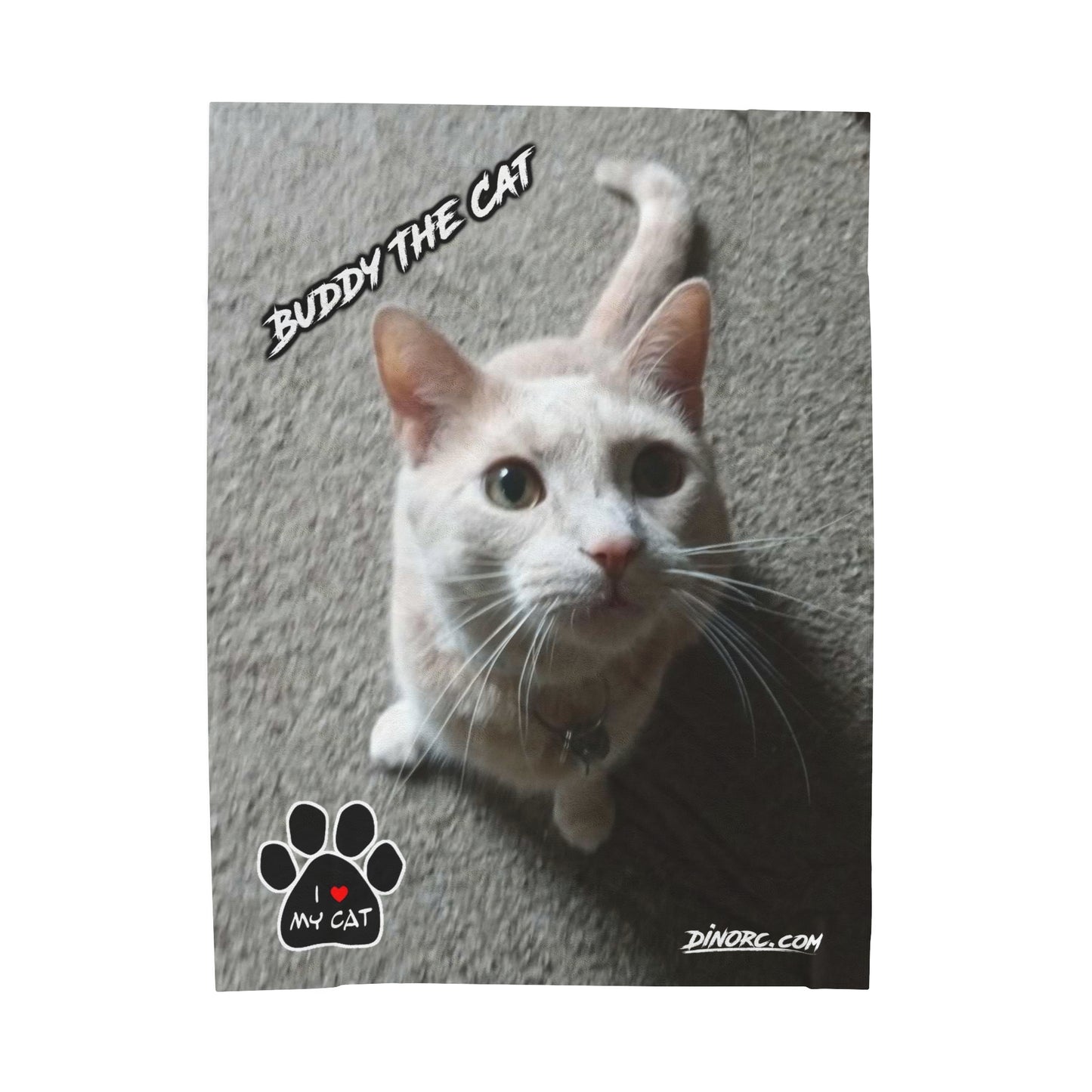 Buddy The Cat Velveteen Plush Blanket