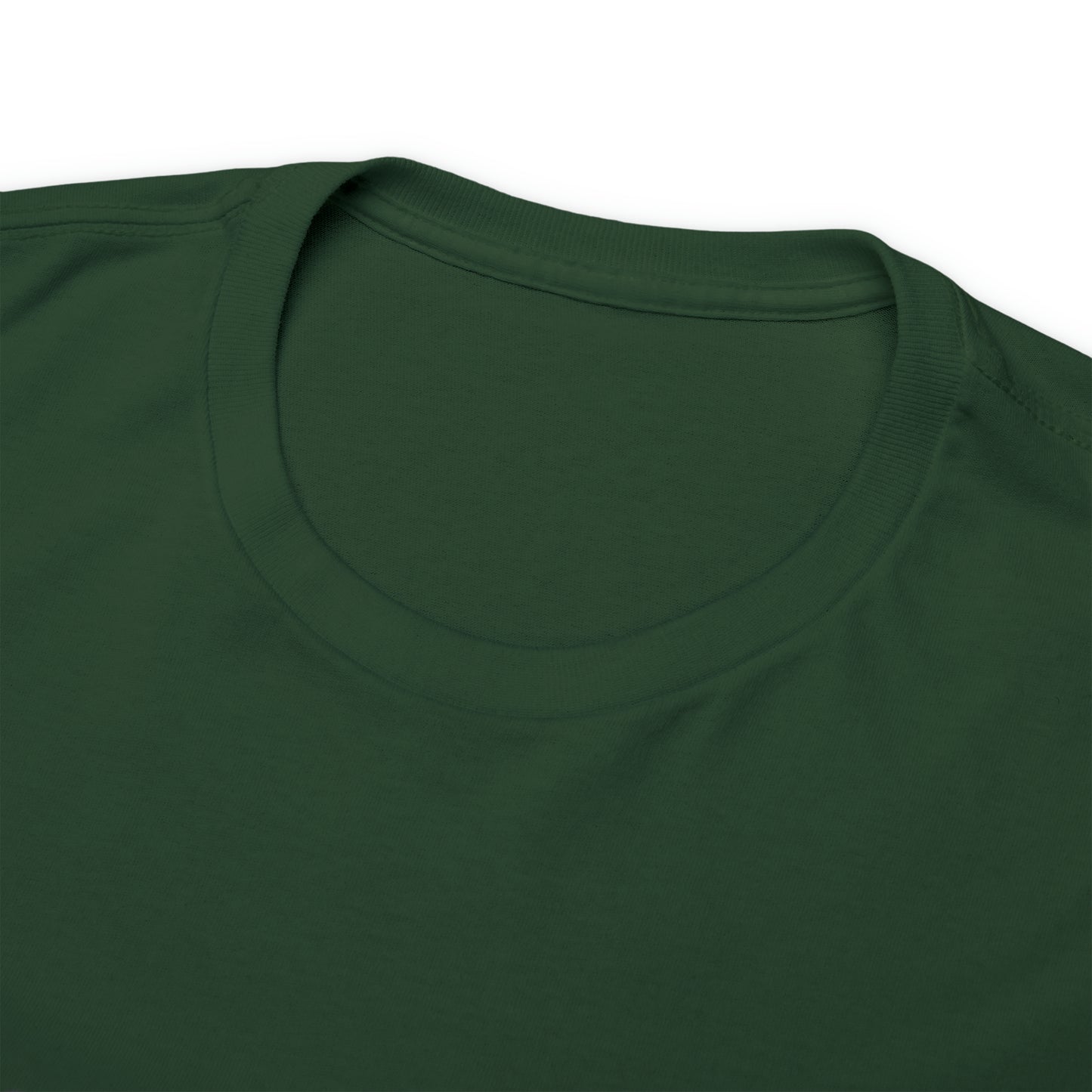 RC Outlaws DinoRc 8 colors Unisex Heavy Cotton Tee