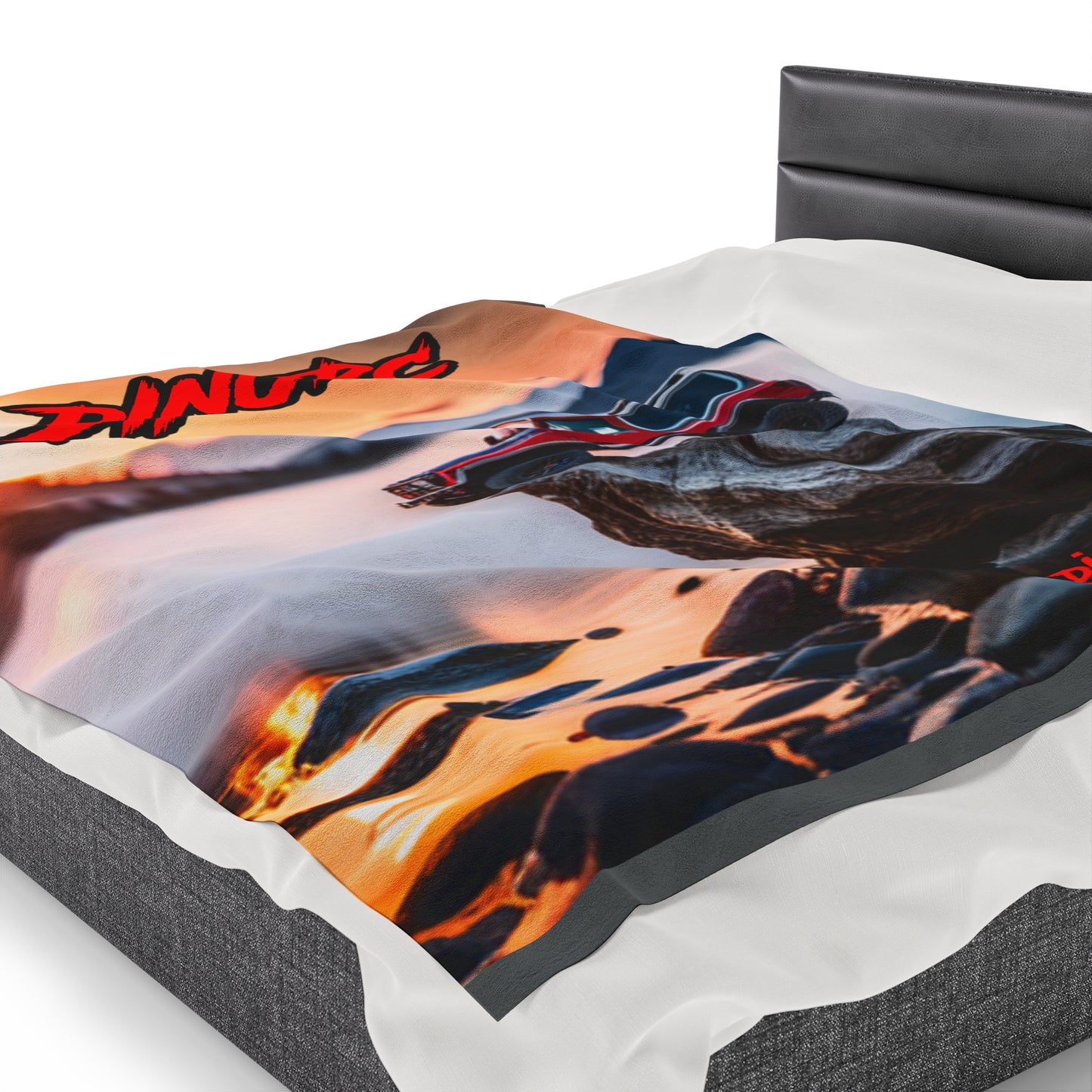 3 sizes DinoRC Velveteen Plush Blanket